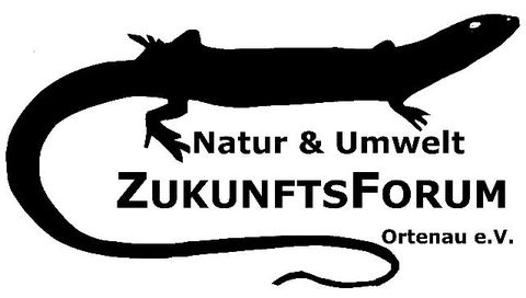Zukunftsforum Ortenau e. V. 
